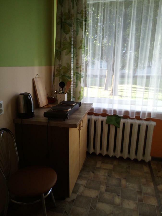 Anykstuko Butas Apartment Anyksciai Ngoại thất bức ảnh